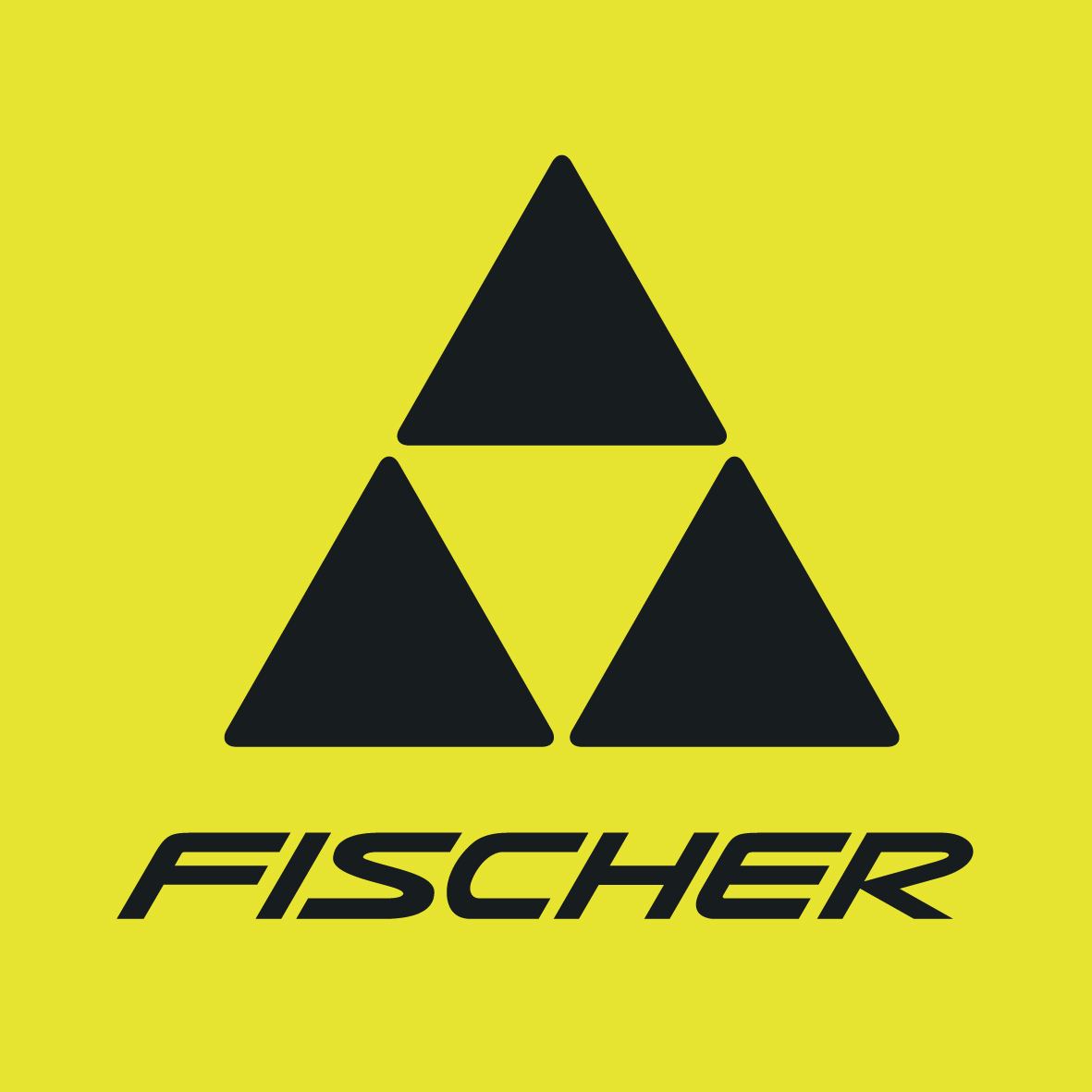 Fischer - купить товары бренда Фишер по доступным ценам на официальном ...