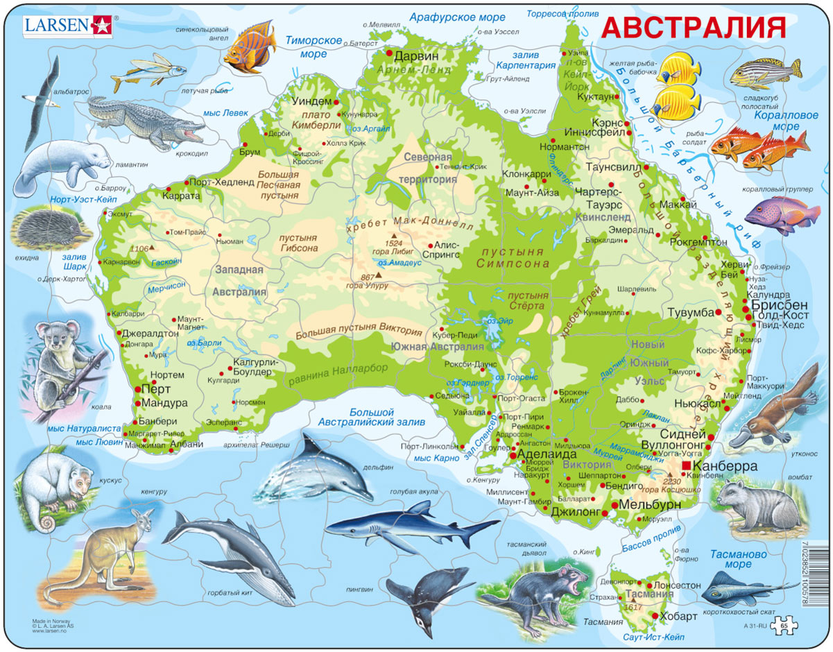 какие животные обитают в австралии список