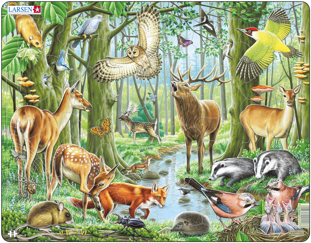 Лесные животные и насекомые. Larsen пазл Европейский лес. Пазл Европейский лес 40дет. Larsen fh17. Larsen fh23 - животные фермы. Пазл Larsen fh24 джунгли.
