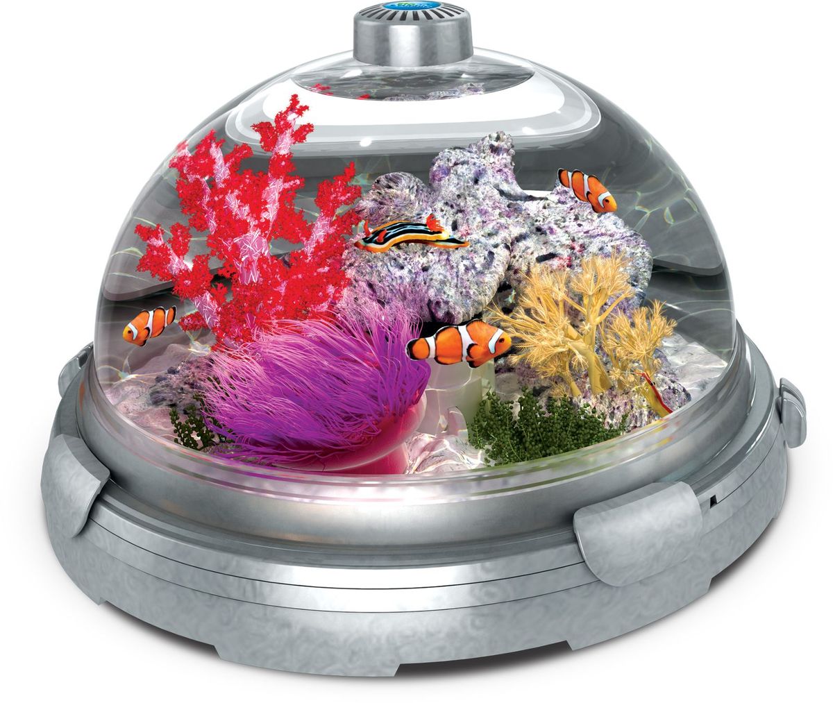 Аквариум биодизайн риф 100. Аквариум биодизайн панорама 150. Био аквариум. Био аквариум. Аквариум биодизайн риф 200.