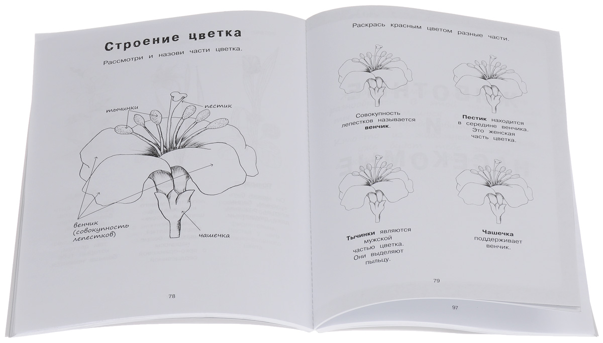 Я учусь с Montessori. Книга для ознакомления с окружающим миром (+ наклейки). Эва Эррманн