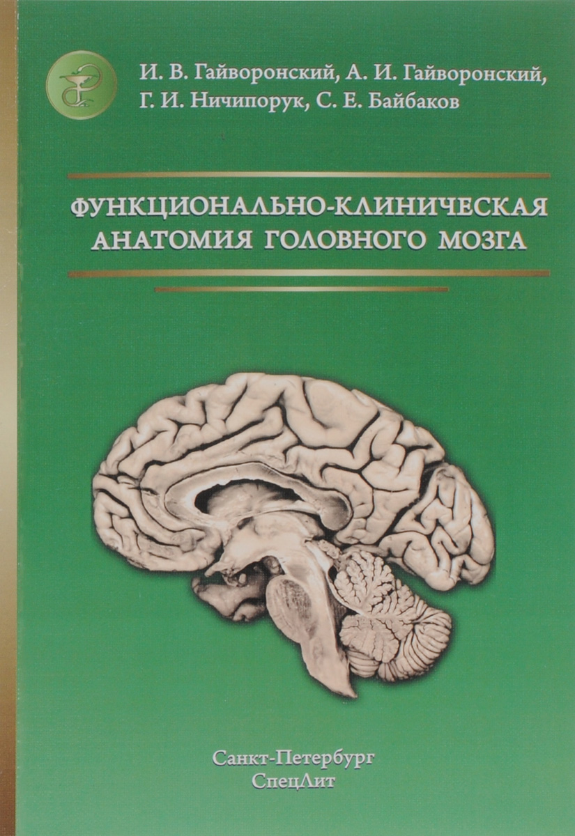 фото Функционально-клиническая анатомия головного мозга