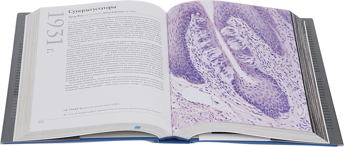 великая психология