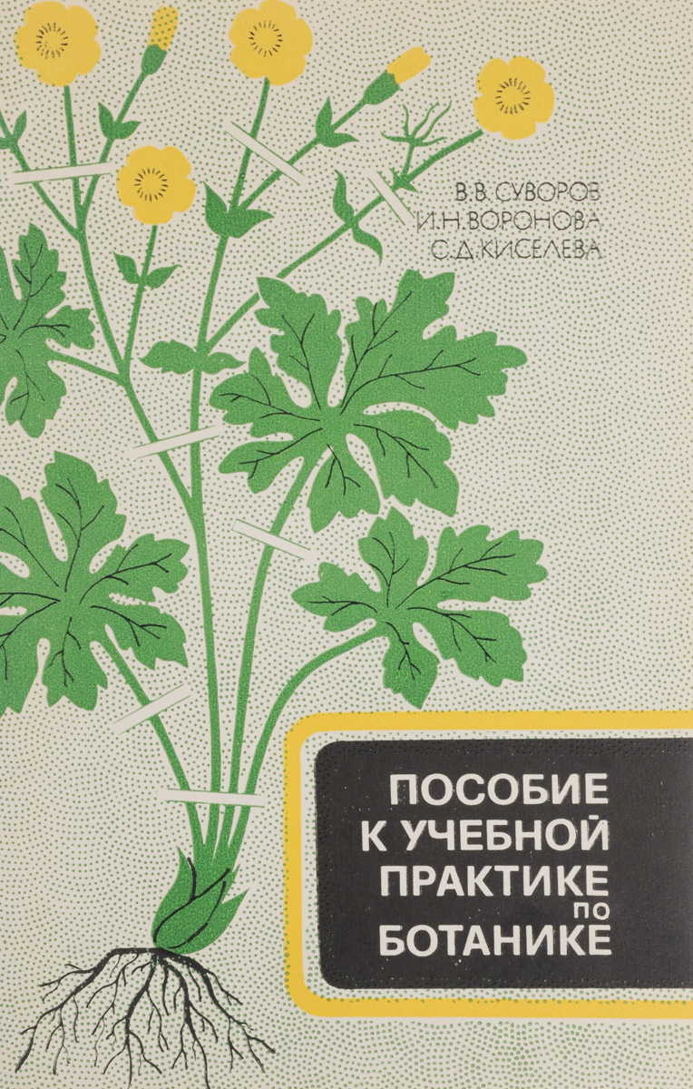 Лабораторные работы по ботанике. Учебник по ботанике. Ботаника. Книга по физиологии растений. Летняя полевая практика по ботанике.