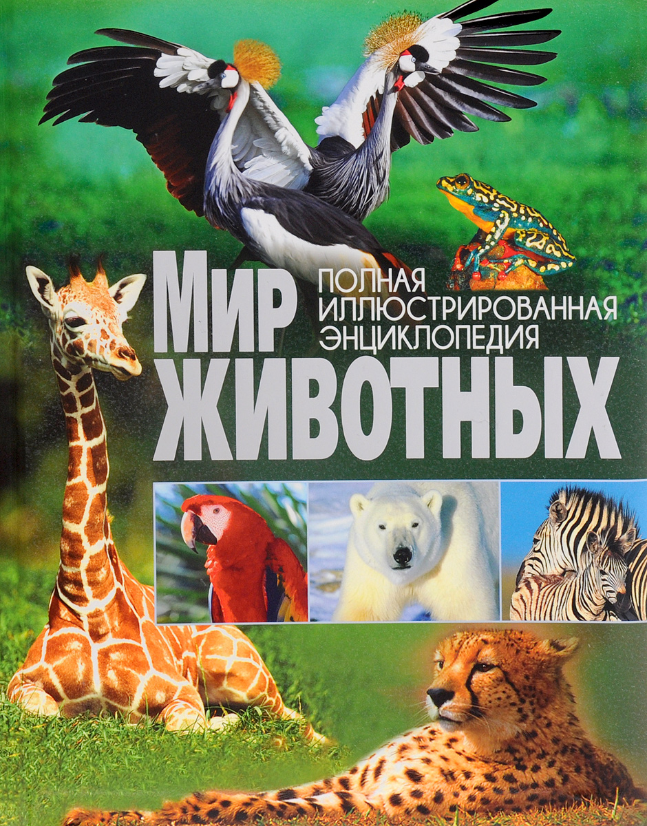 Картинки, картинки с надписью мир животные