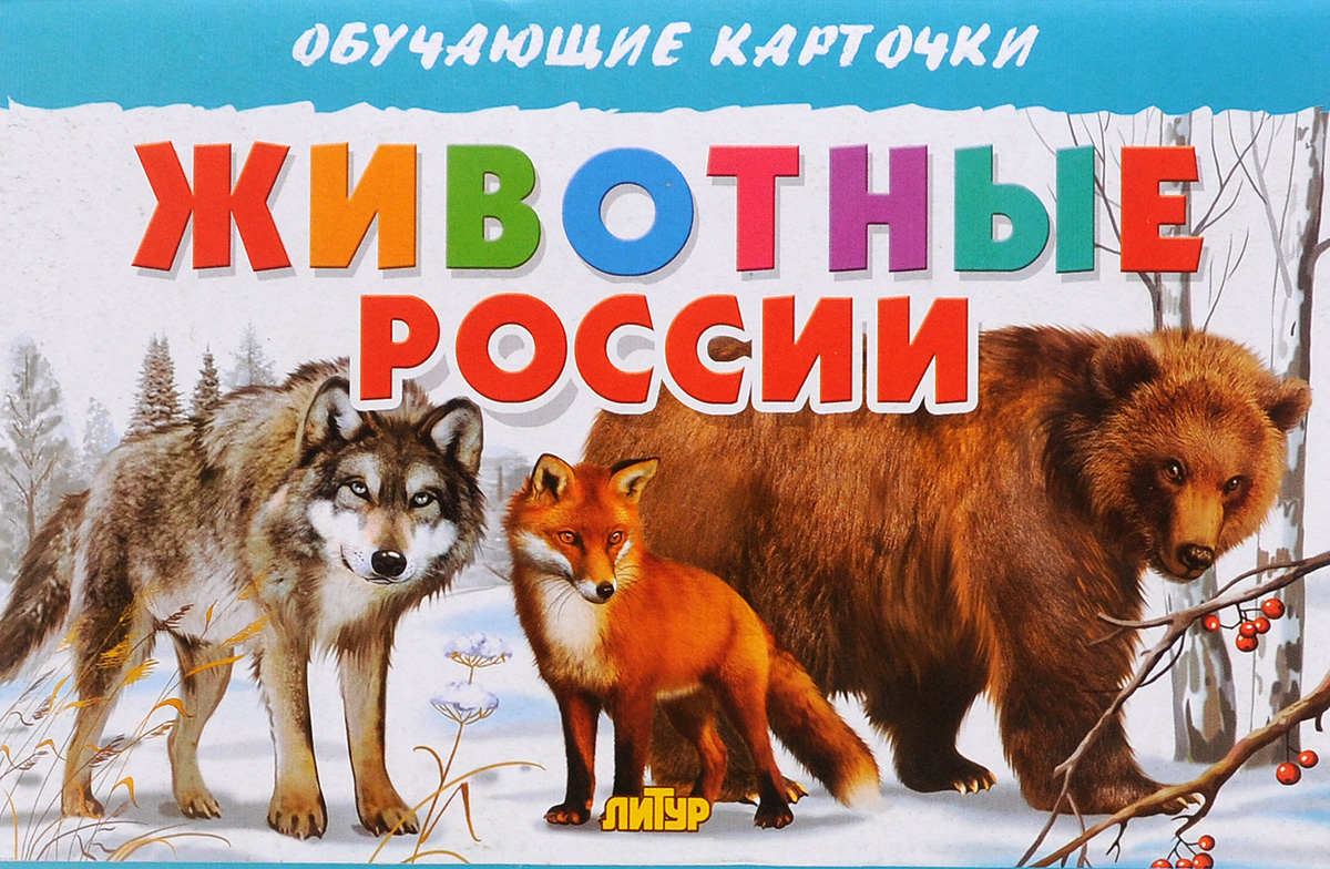 Карточки Дикие животные России