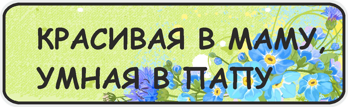 Мама она умная. Умная в папу красивая в маму надпись. Умная в папу красивая в маму картинка. Номерной знак на коляску. Умный папа.