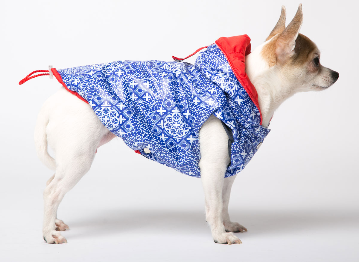 жилетки для собак интернет магазин. одежда для маленьких собак. жилет для собак. жилетки для собак интернет магазин. жилетка для собаки.