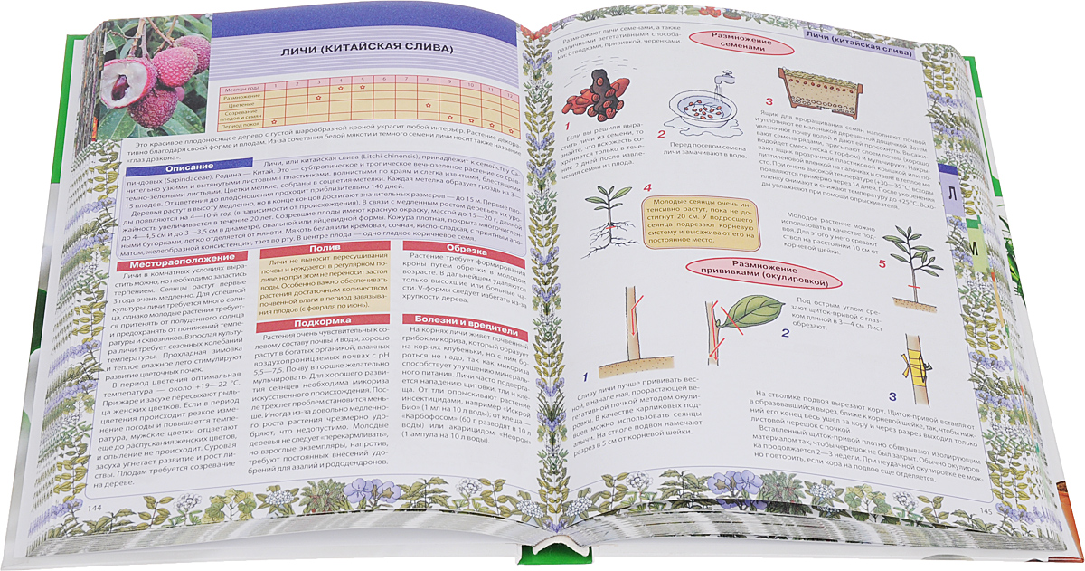 Самая нужная книга о комнатных растениях фото 3