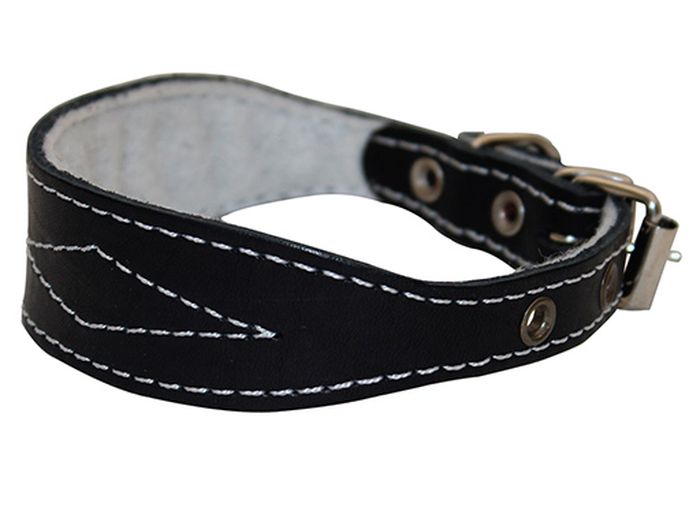 Ошейник для собак Каскад, прошитый с синтепоном, для левретки/таксы, диаметр 32-41 см, цвет: черный