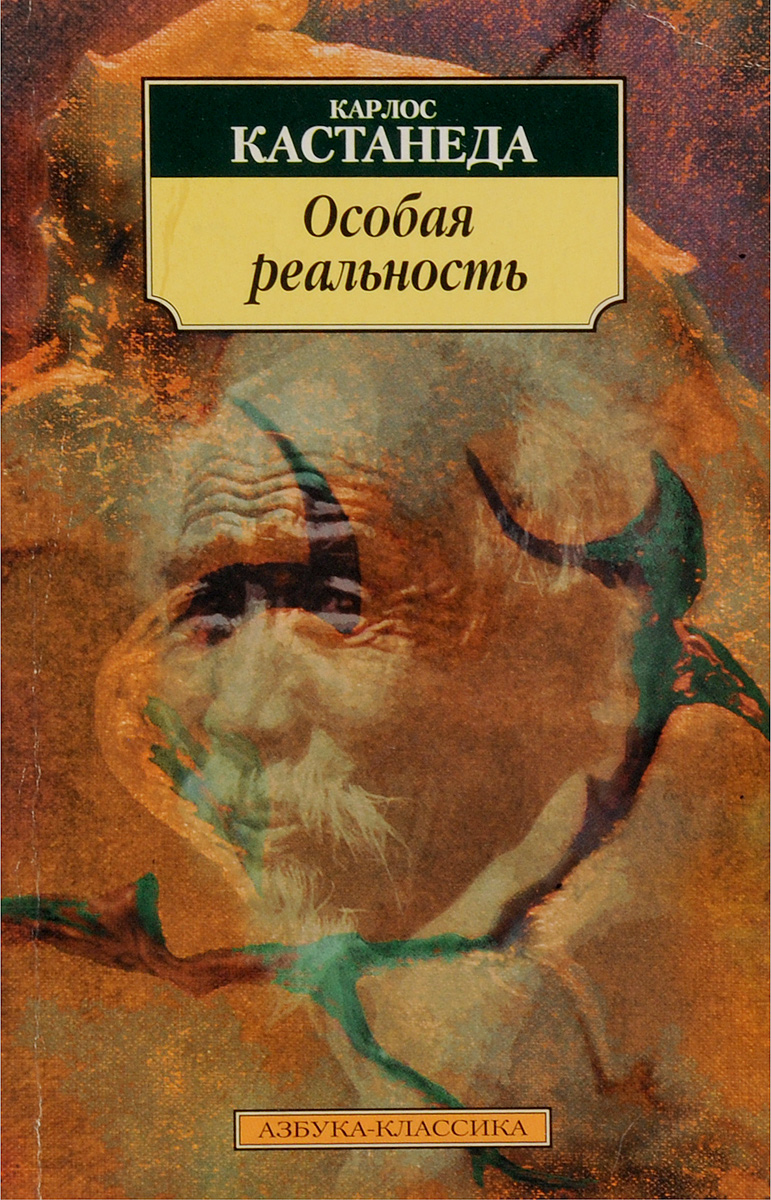 Книга особенные. Хуан Пабло Кастанеда. Особая реальность Кастанеда. Книжка Кастанеда особая реальность. Разговоры с Доном Хуаном.