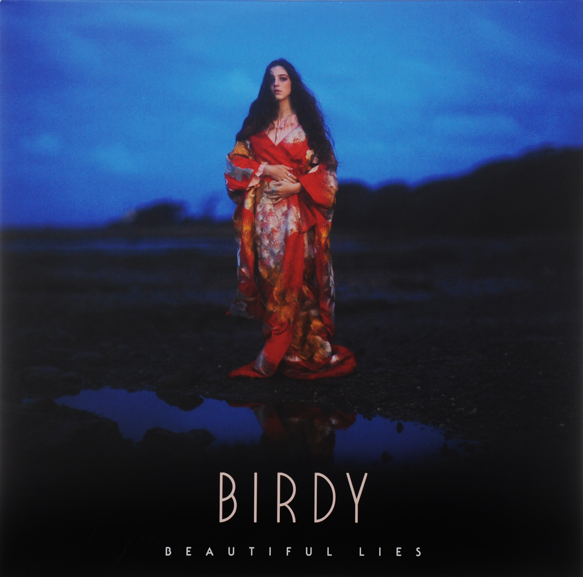 где купить Birdy Birdy. Beautiful Lies (2 LP) по лучшей цене