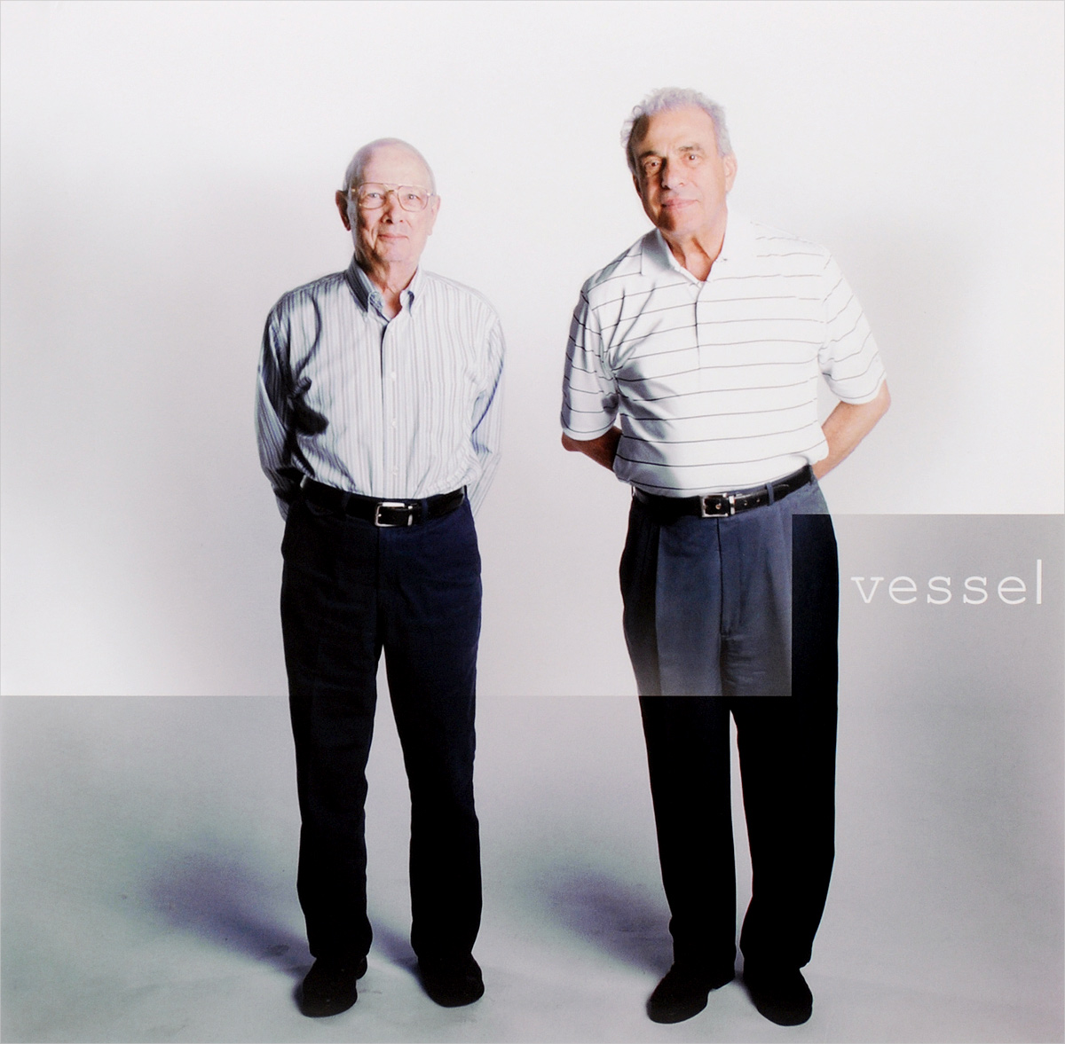 Виниловая пластинка Twenty One Pilots. Vessel. Clear (LP)