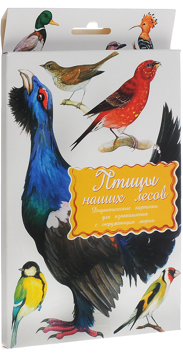 фото Маленький гений-Пресс Обучающие карточки Птицы наших лесов