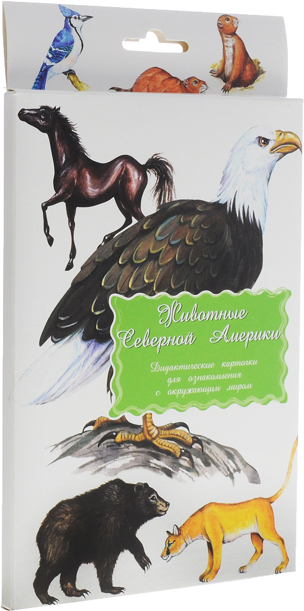 фото Маленький гений-Пресс Обучающие карточки Животные Северной Америки