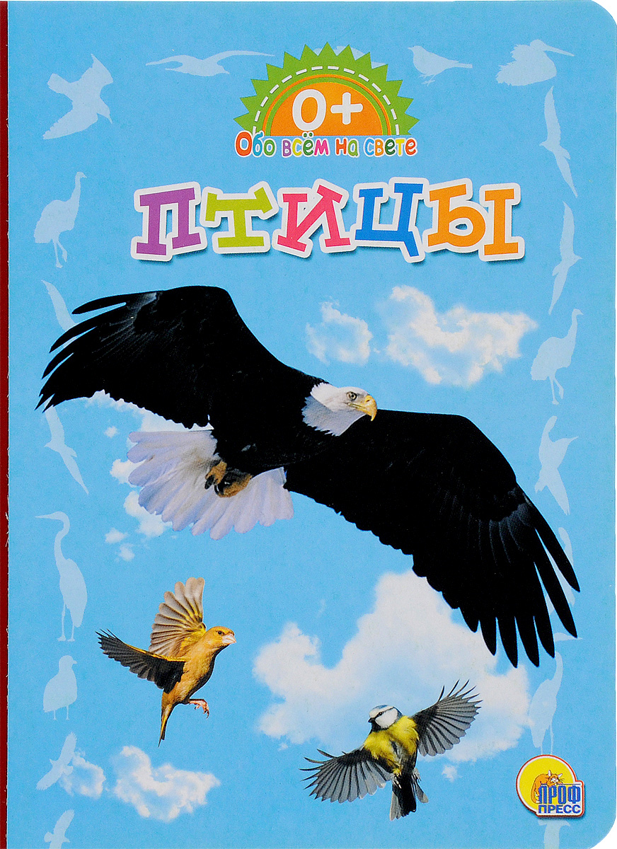 Книга птичка. Обложка птицы. Птицы обложка для детей. Обложки книг с птицами. Журнал про птиц обложка.