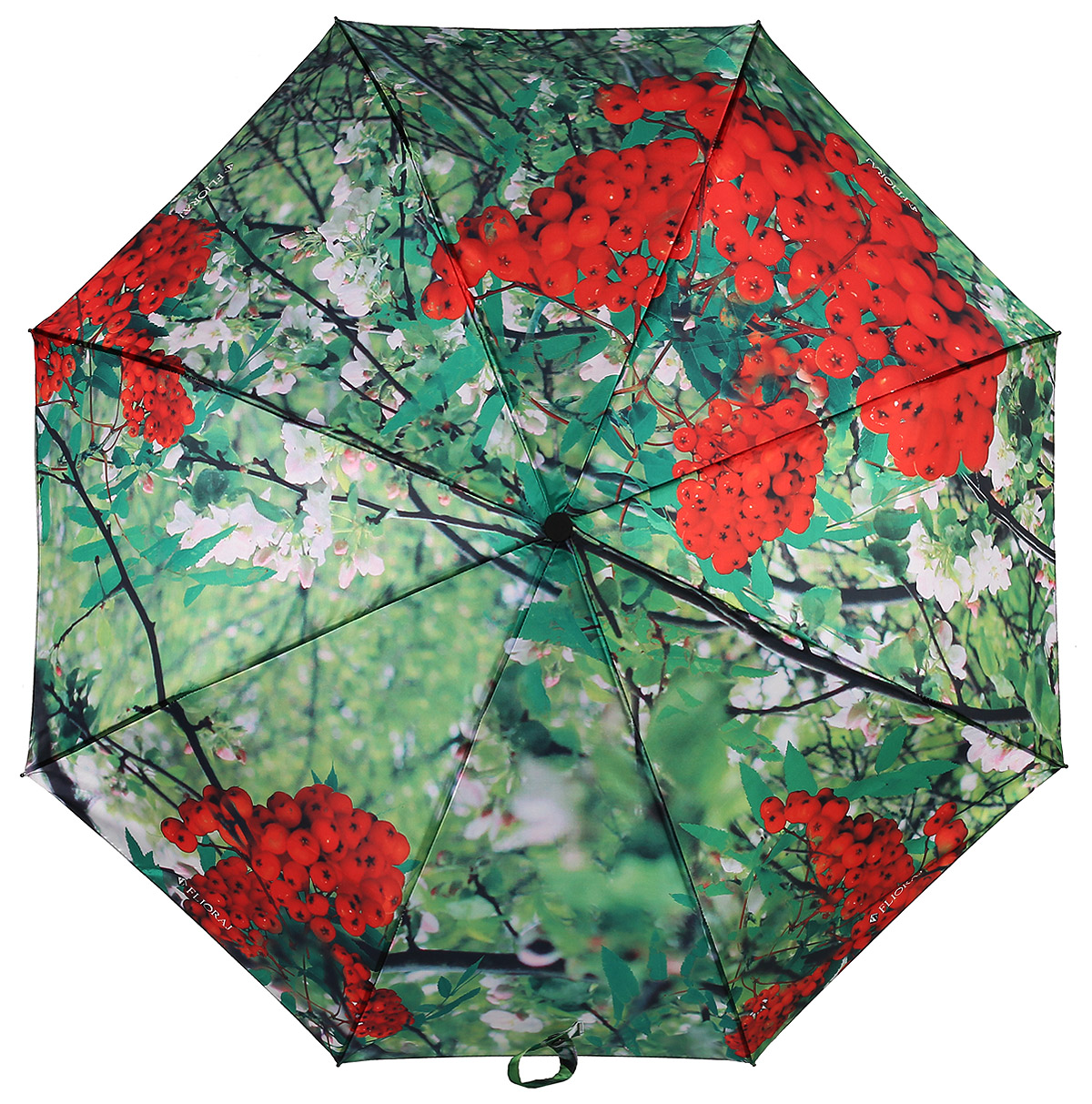 Зонт женский Flioraj, автомат, 3 сложения, цвет: зеленый, красный. 231213 FJ