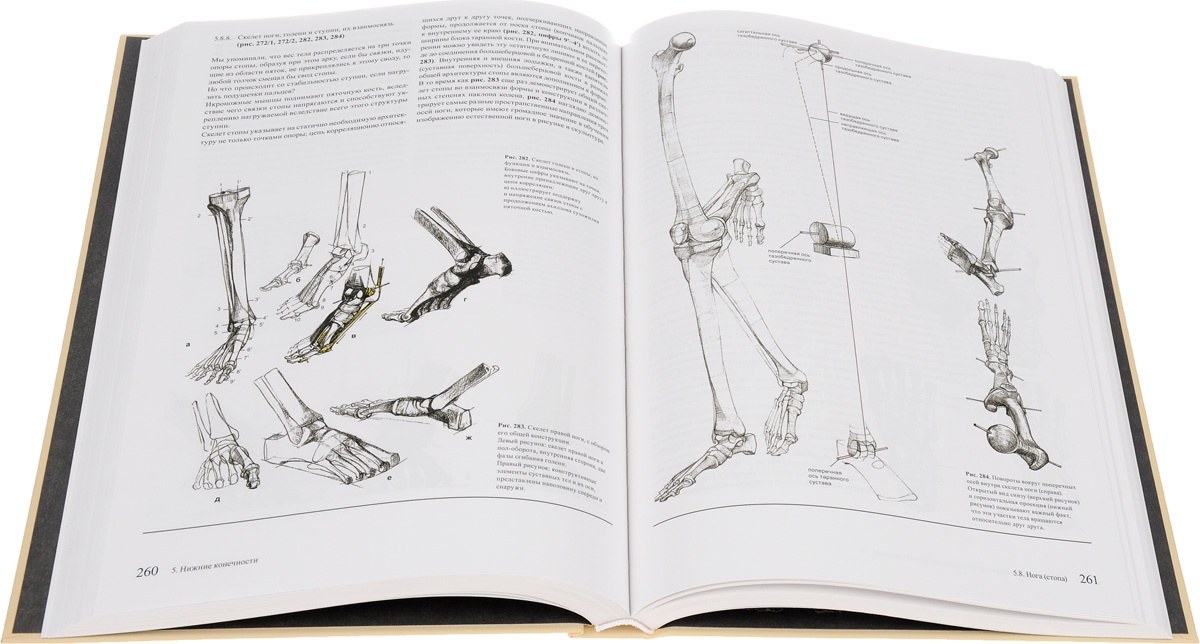 фото Образ человека. Учебник и практическое руководство по пластической анатомии для художников