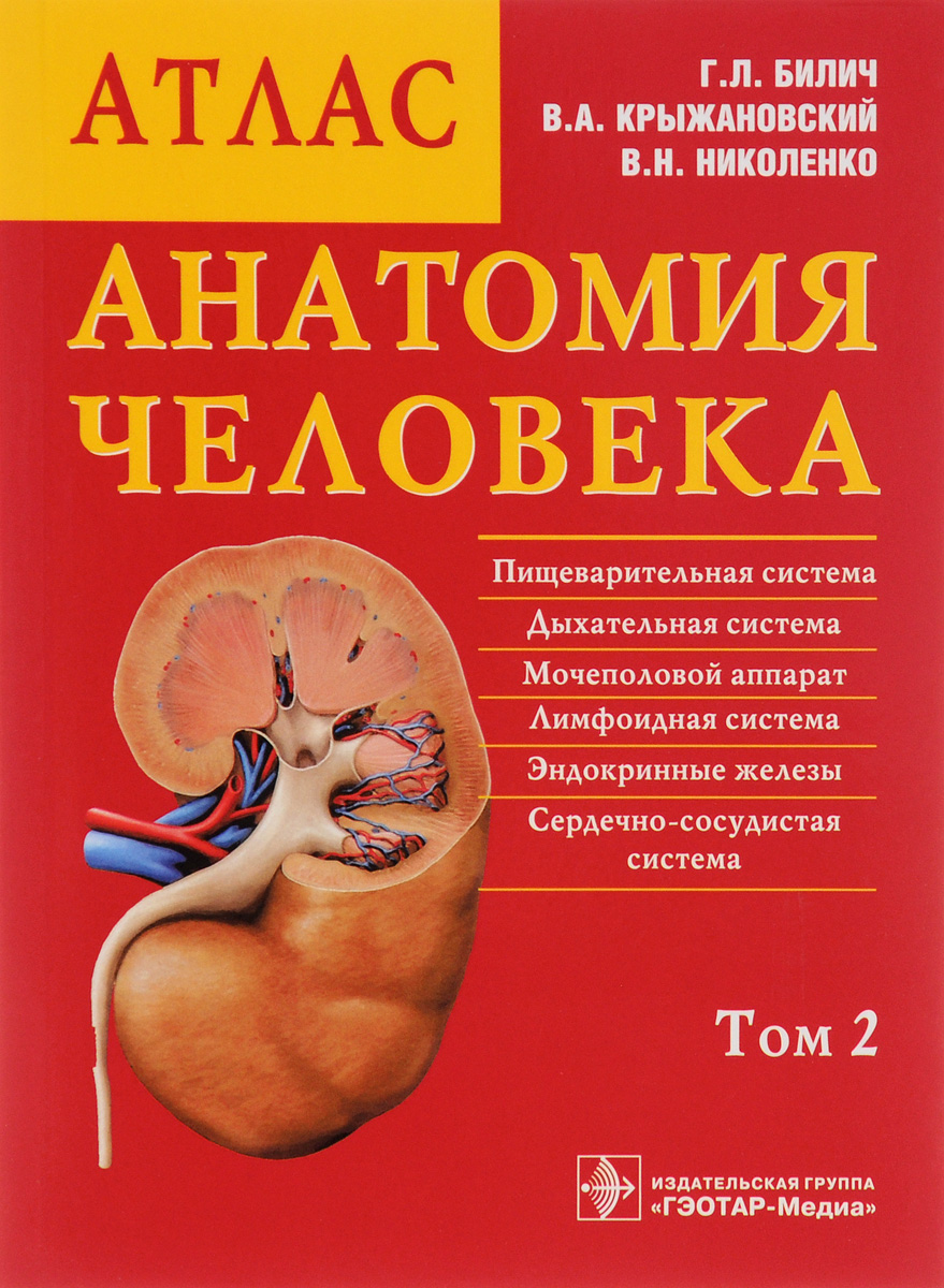 Атлас анатомии человека билич г л. Крыжоновский атлас анатомия человека 3 том. Атлас анатомии Билич том 2. Билич Крыжановский анатомия человека атлас том 2. Атлас по анатомии Билич Крыжановский.