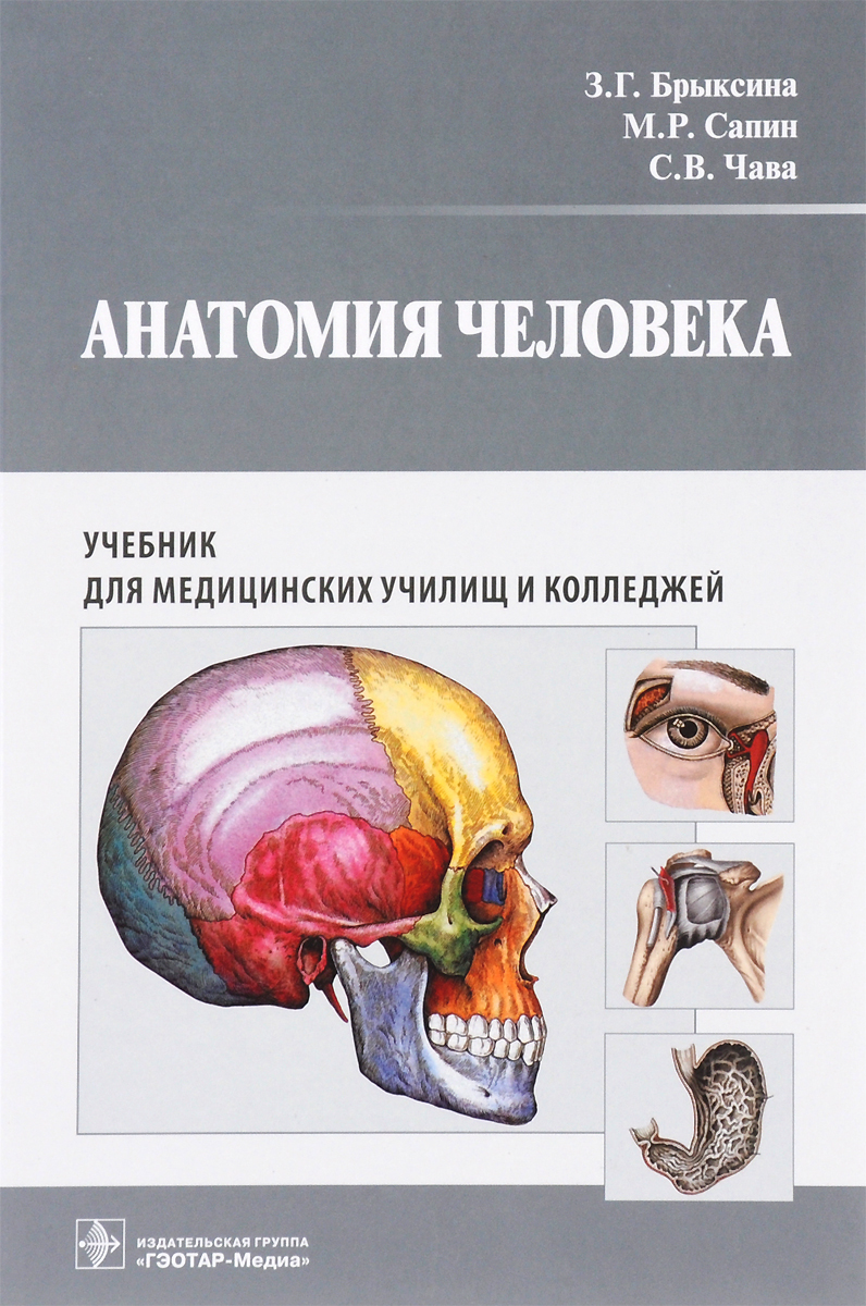 фото Анатомия человека. Учебник