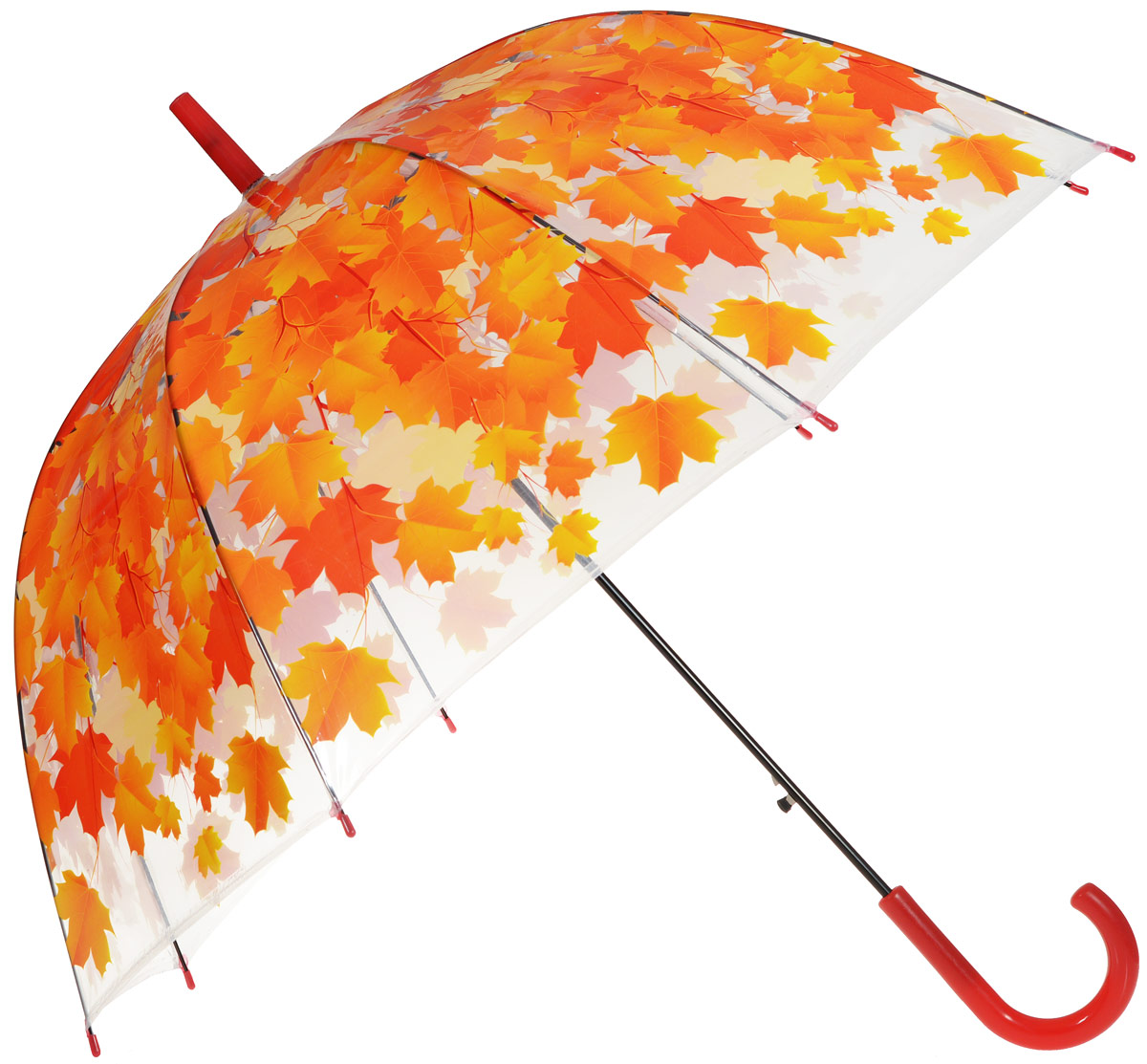 Какие зонтики лучше. Детский зонтик amico 79579. Зонт "желтые листья" (полуавтомат) d80см. Зонт real Star Umbrella. Зонт с осенними листьями.