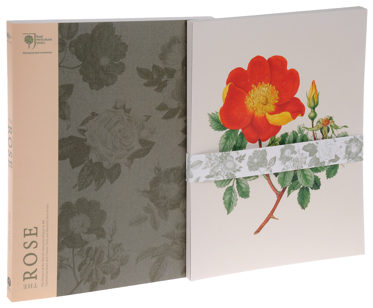 фото The Rose: The History of the World’s Favourite Flower in 40 Captivating Roses with Classic Texts and Rare Beautiful Prints Andre deutsch