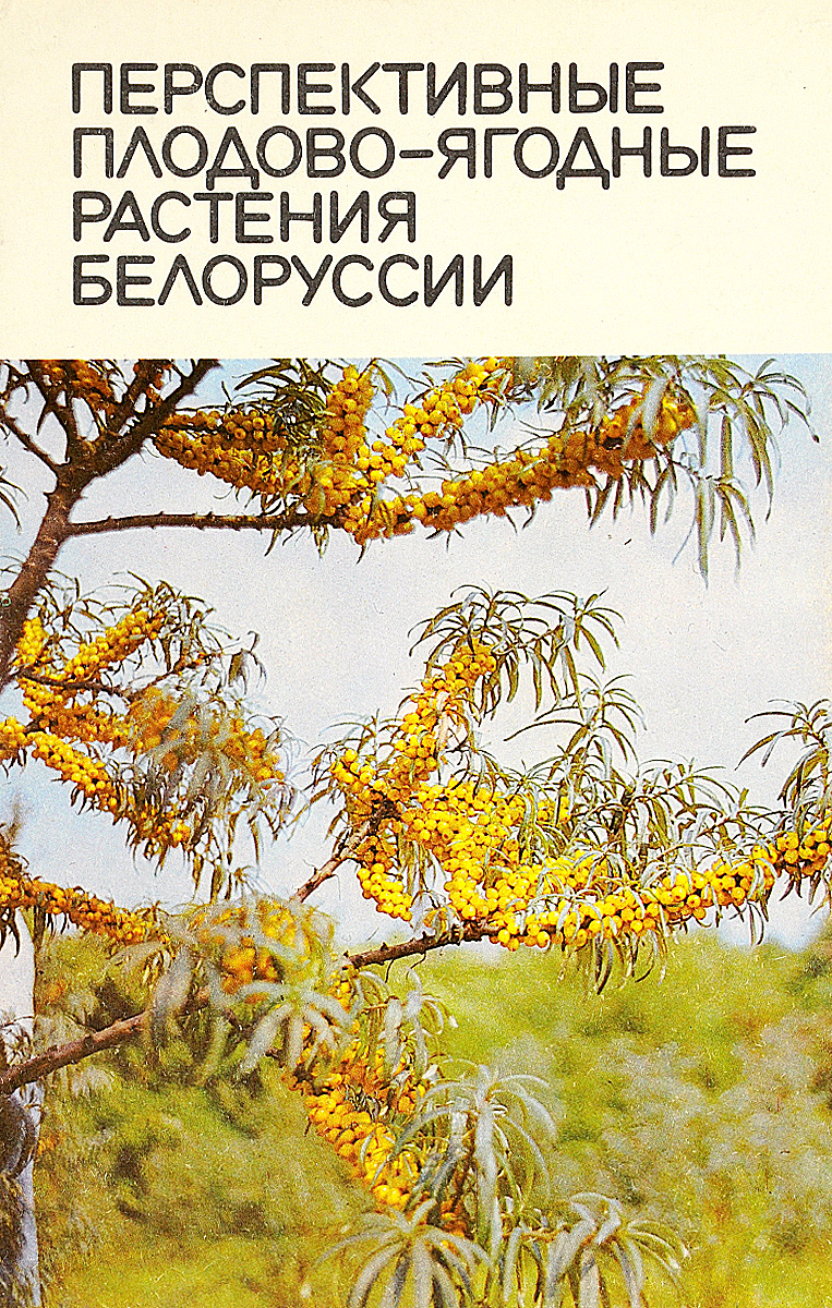 Перспективные плодово-ягодные растения Белоруссии