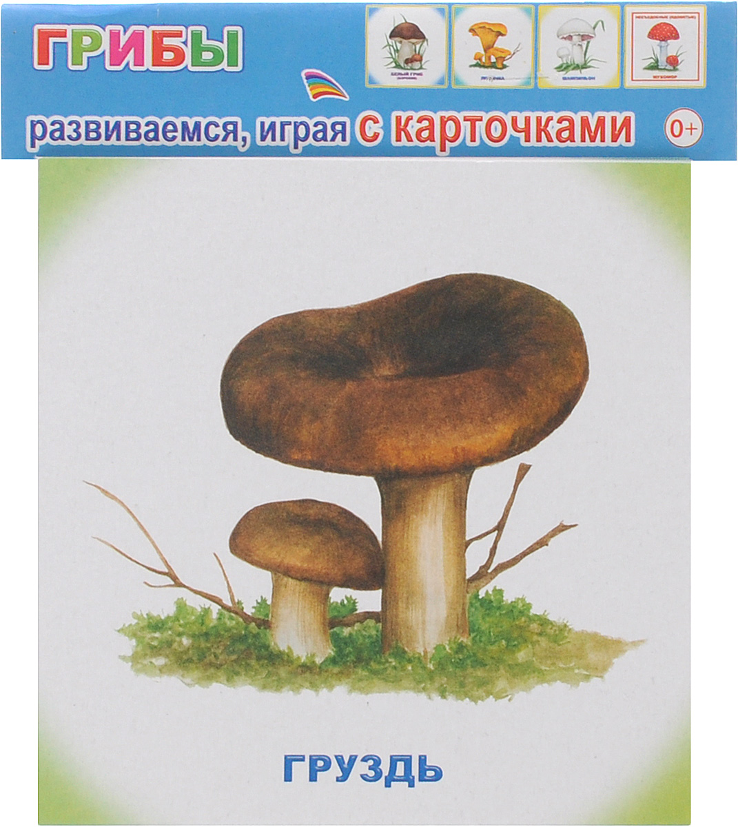 Карточки грибы