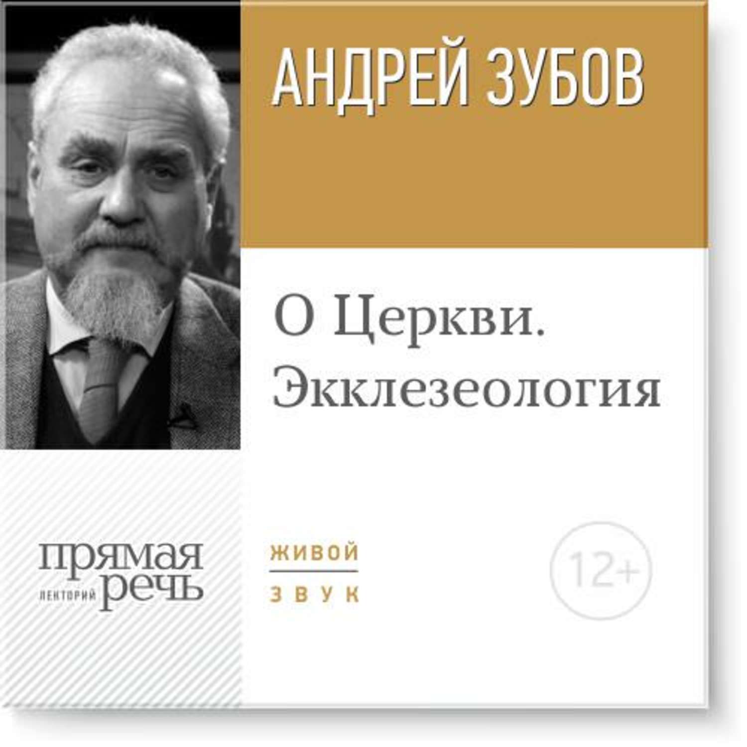 Мессианство. Андрей зубов история религий. Христианская антропология человека. Антропология христианства. Зубов Андрей Борисович книги.