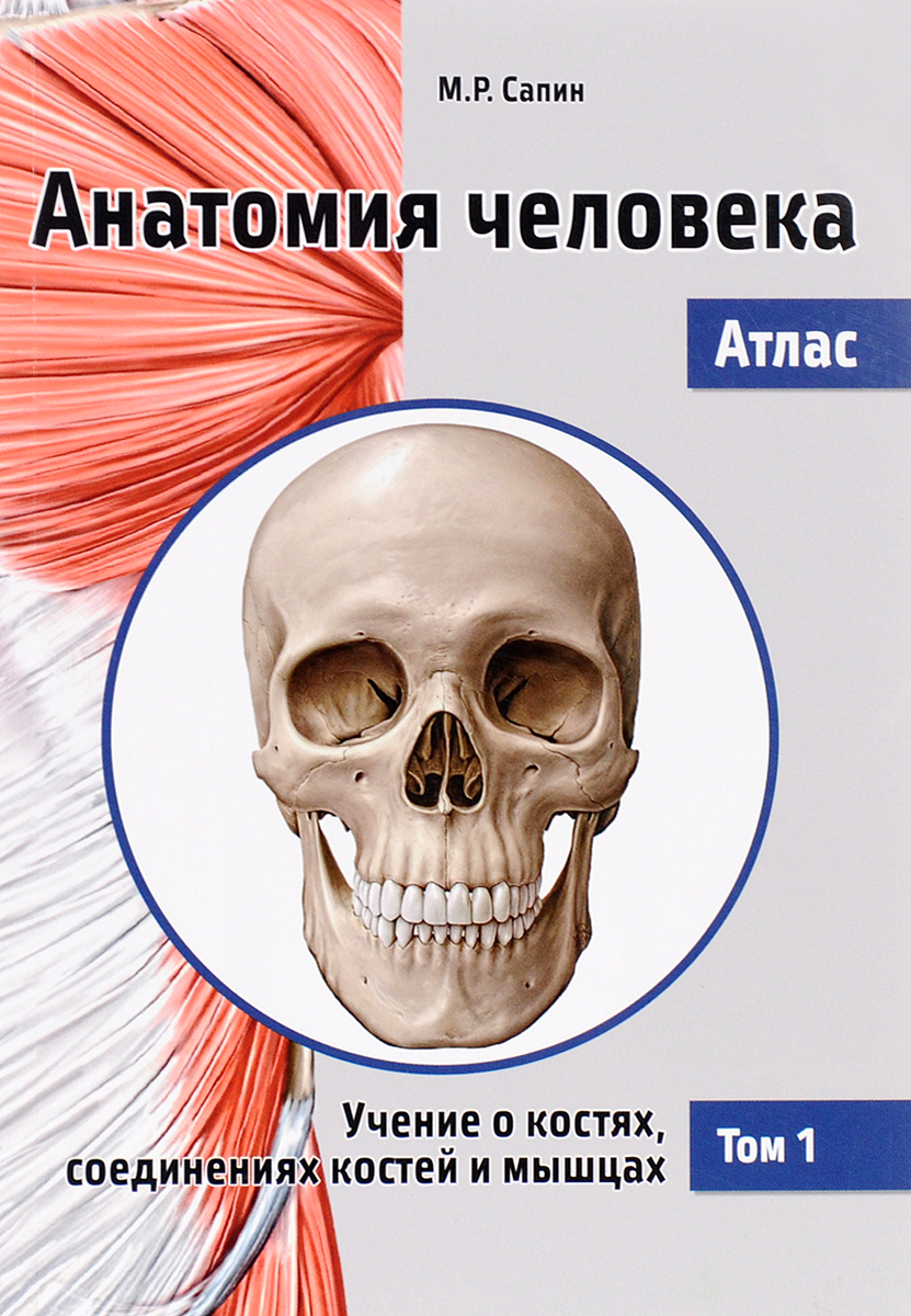 фото Анатомия человека. Атлас. В 3 томах. Том 1. Учение о костях, соединениях костей и мышцах. Учебное пособие
