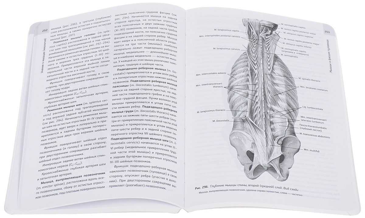 Атлас по анатомии в 3 томах кости