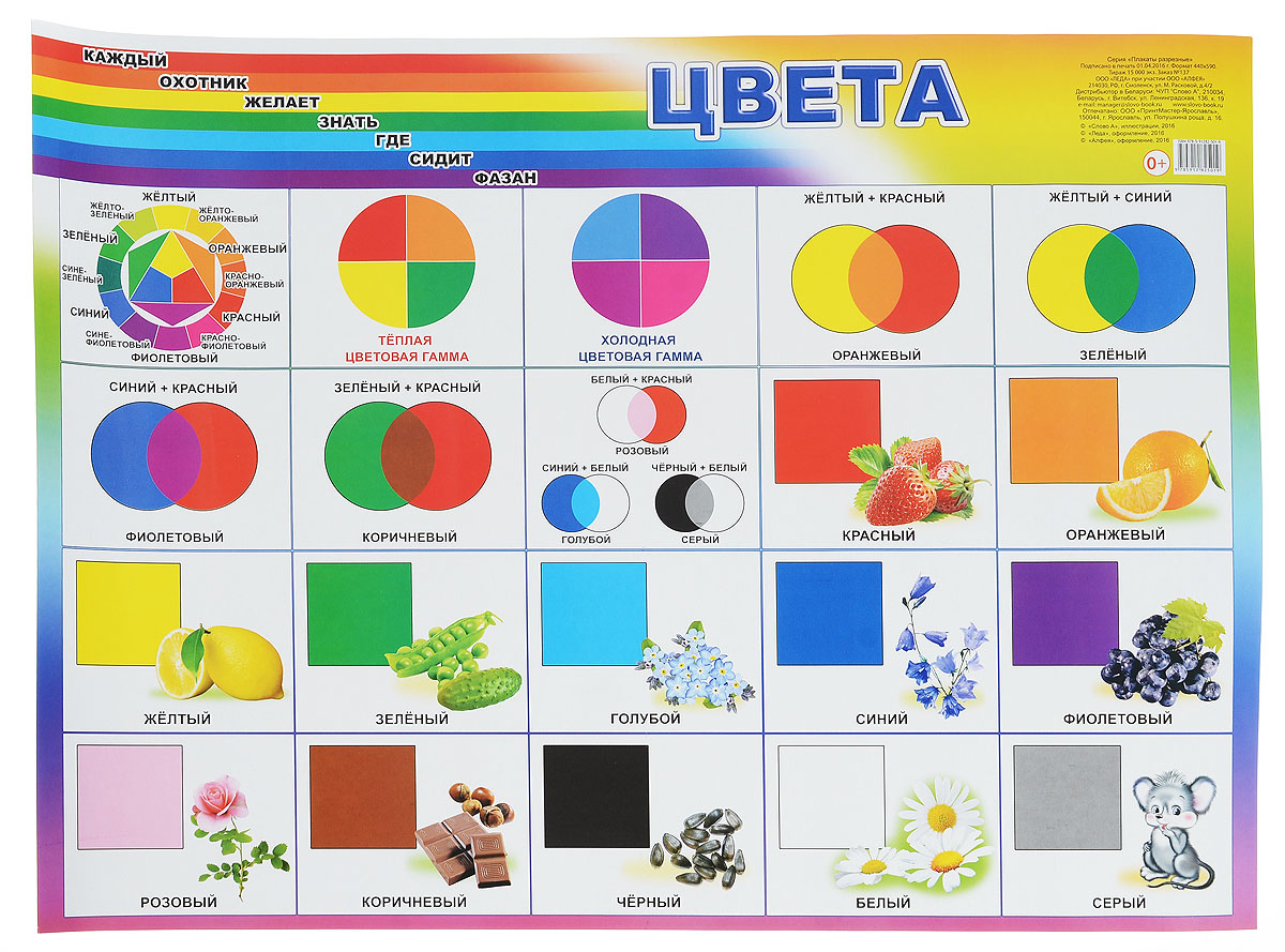 картинки про цвета для детей