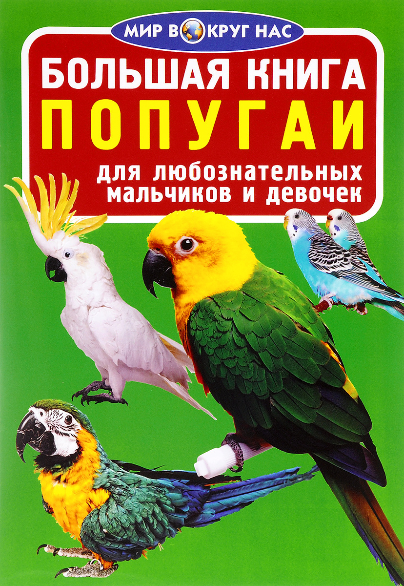 Попугай В Детском Мире Купить