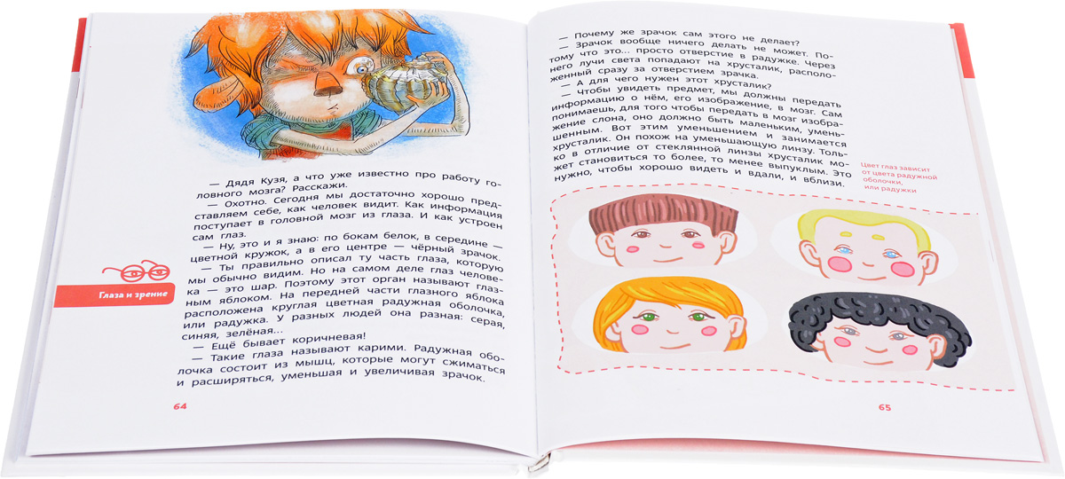 Как устроен человек. Елена Качур
