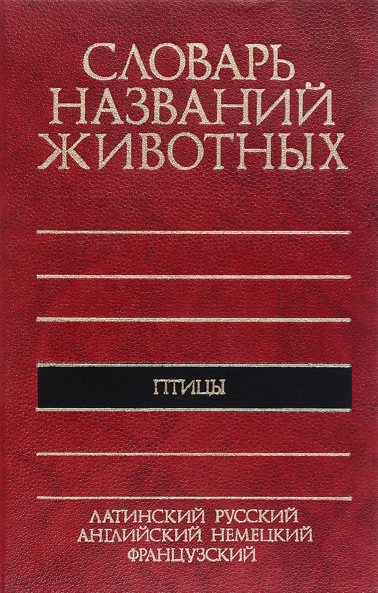 фото Словарь названий животных. Птицы