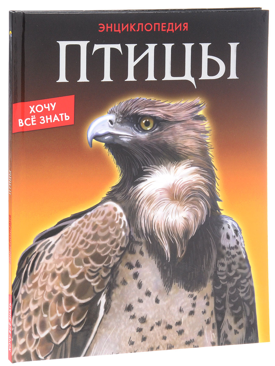 Книга птицы. Птицы. Энциклопедия. Книги о птицах. Птицы энциклопедия для детей. Книга энциклопедия.