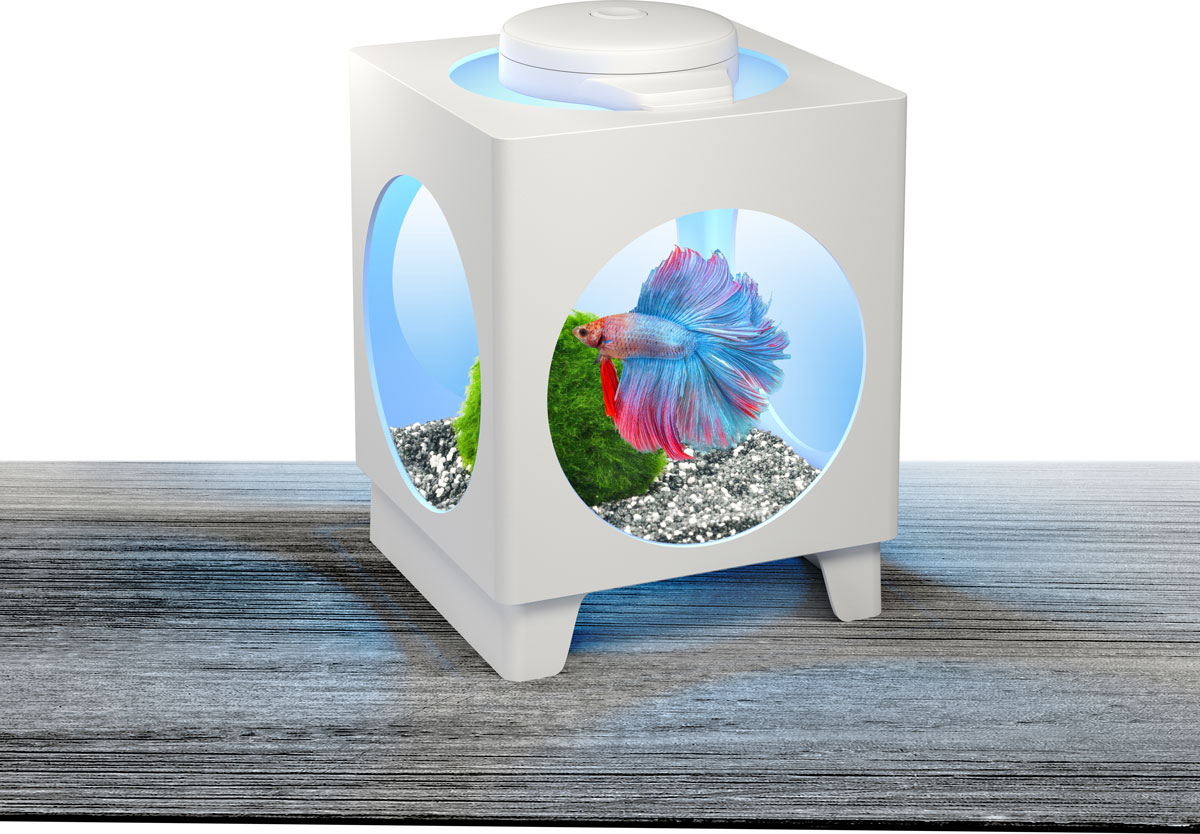 Tetra betta. Тетра betta menu корм для петушков 100 мл. Tetra betta. Аквариум betta projector 1,8. Аквариум с белым петушком.