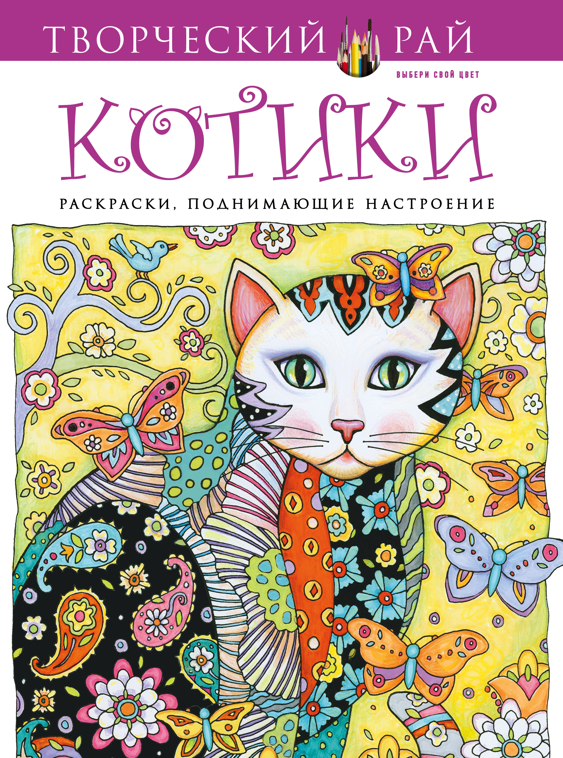 фото Котики