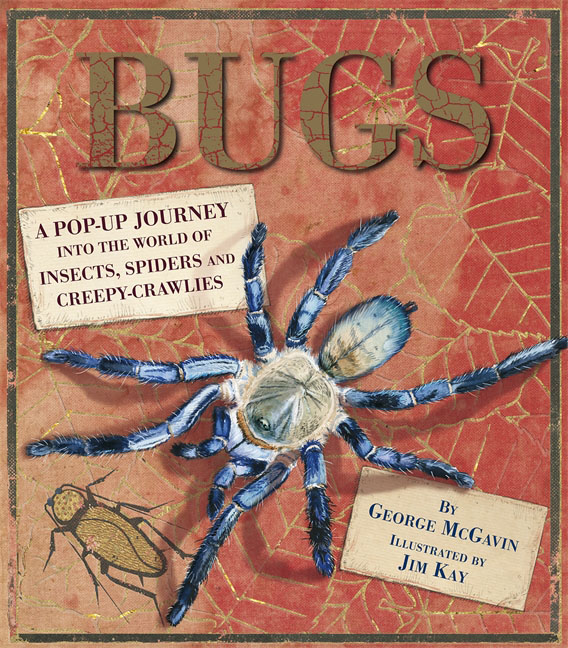 фото Bugs: A Pop-up Journey into the World of Insects, Spiders and Creepy-crawlies Walker books ltd