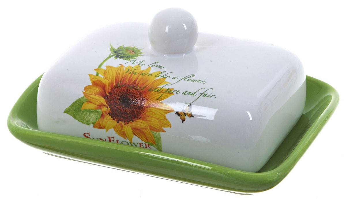 масленка пластмассовая для сливочного масла. озон масленка для сливочного масла. масленка из нержавеющей стали 5300-21 dnn. масленка fresh прозрачный, зеленый rotho 1709705070. масленка mayer.