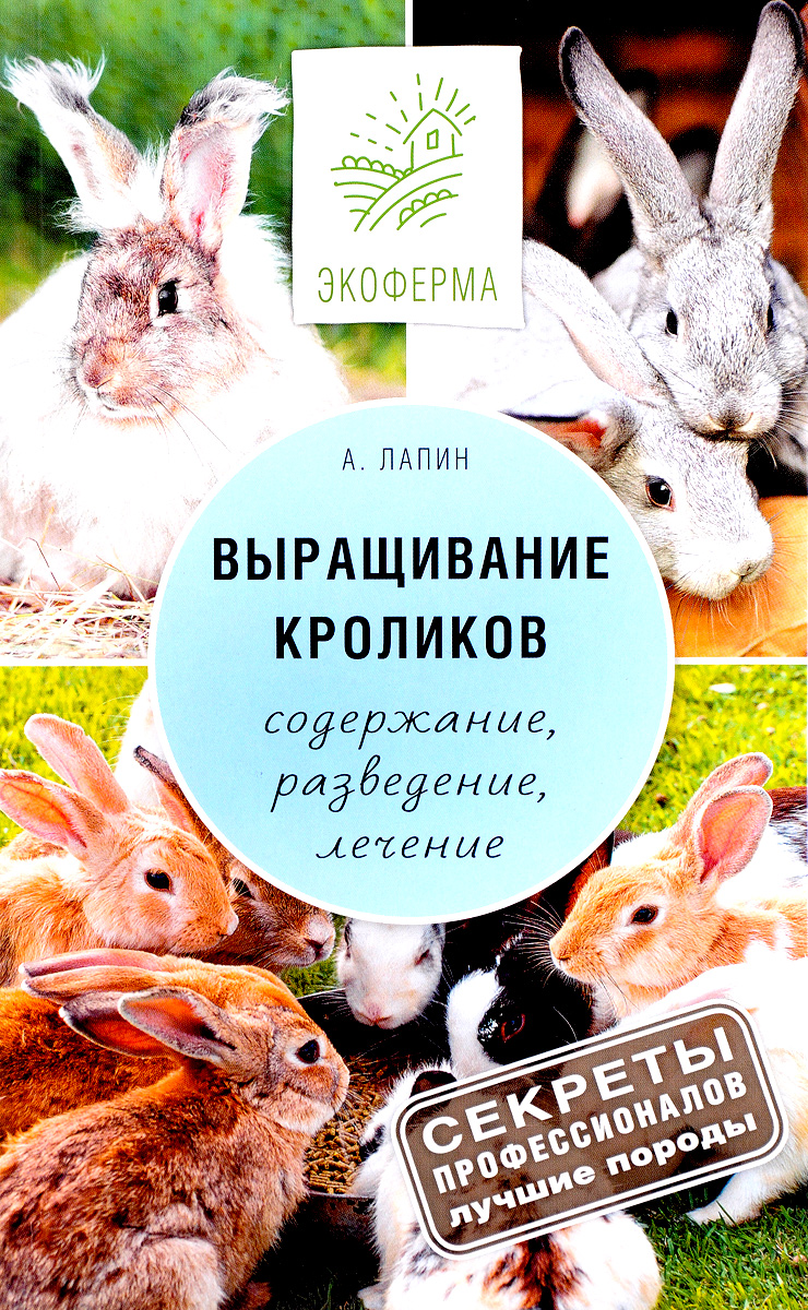 фото Выращивание кроликов. Как содержать, разводить, лечить - советы профессионалов. Лучшие породы