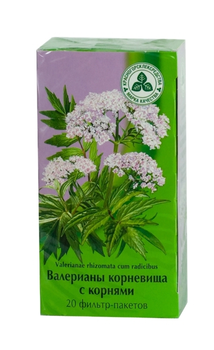 Корень валерианы на латинском в рецепте. Корневища с корнями валерианы. Валериана фильтр пакеты. Валериана лекарственная корневища с корнями. Корневище валерианы фильтр пакетах.