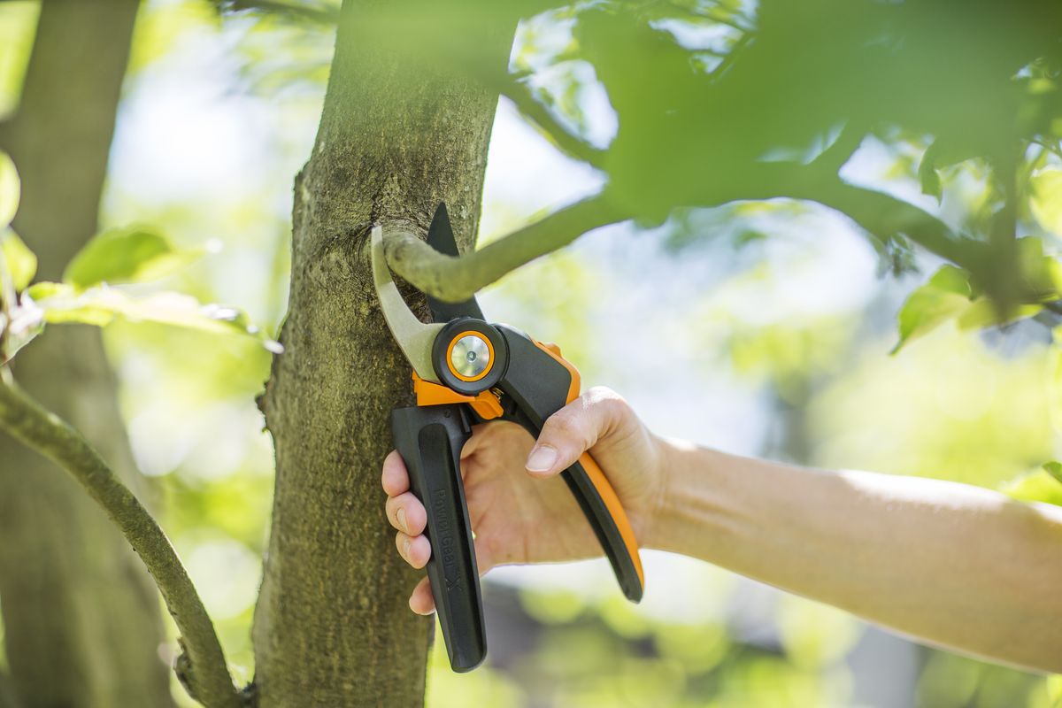 фото Секатор плоскостной Fiskars "PowerGear L PX94"