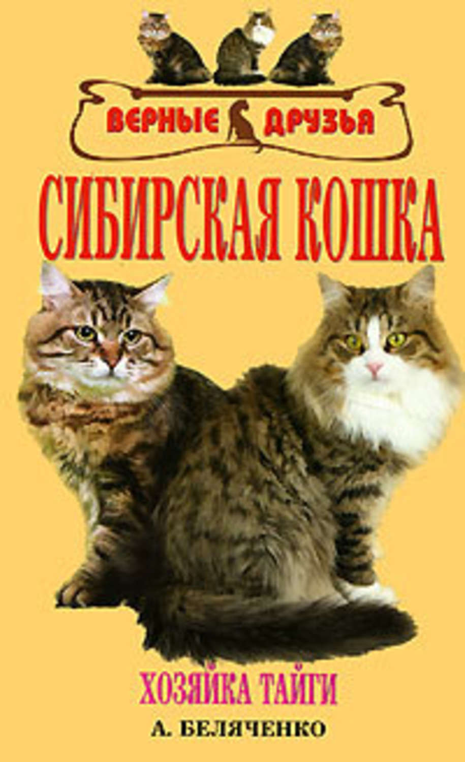 Мужчина и женщина на кухне. Мужчина и женщина на кухне. Друг хозяйки. Уставшая женщина на кухне. Семья, дом.