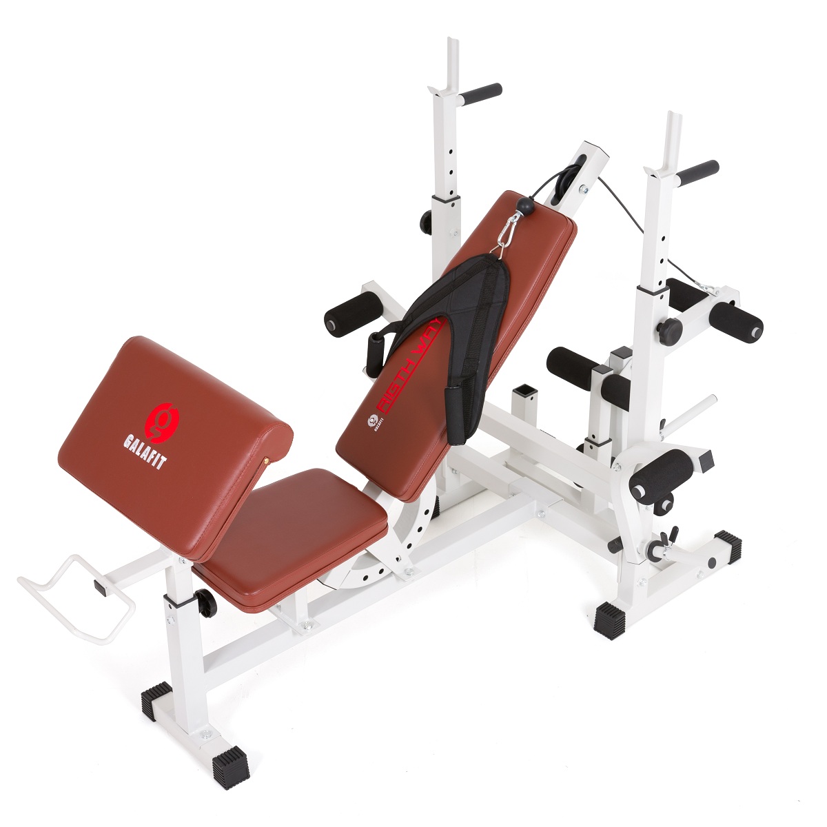 фото Силовая домашняя станция Galafit MS300