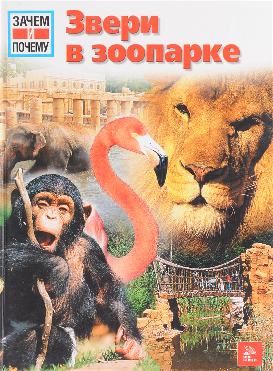 Измученные животные в зоопарке. Звери в зоопарке. Презентация роев ручей красноярск. Почему животные в зоопарке. Животные зоопарка.