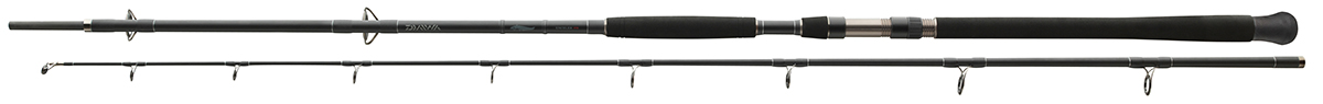 фото Спиннинг штекерный Daiwa "Exceler Catfish", 3,3 м, 200-600 г