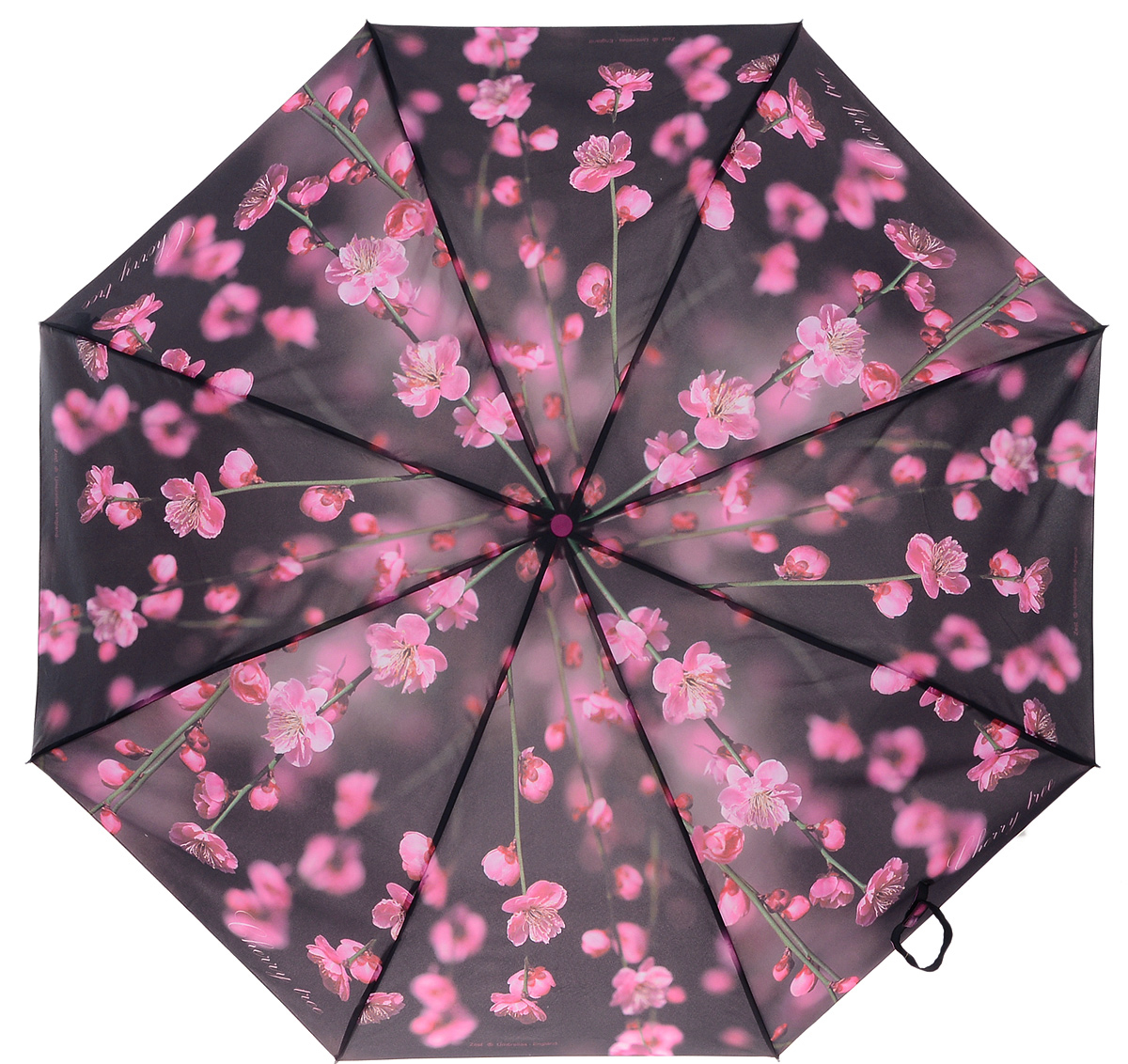 Купить зонтик на озоне. Зонты женские на валберис. Валберис зонты женские полуавтомат. Зонт женский Zest 23946. Озон зонты женские полуавтомат.