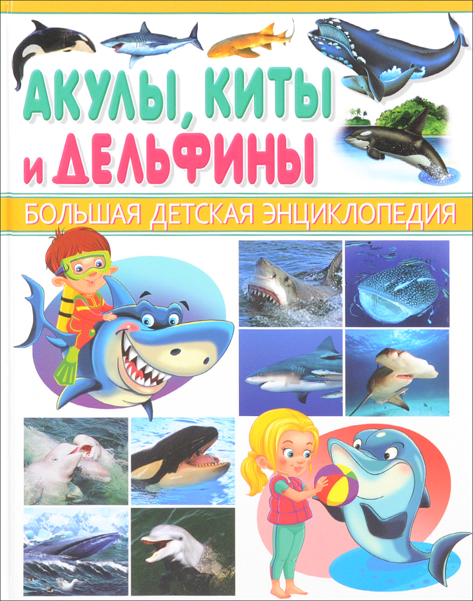 Киты и дельфины