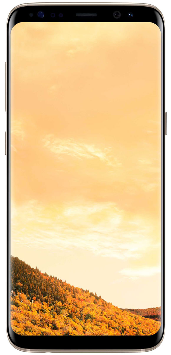 фото Смартфон Samsung Galaxy S8 4/64GB, золотистый